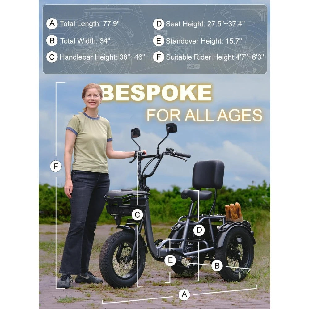 Folding Electric Tricycle with Reverse Gear and Rear Differential 4 Inch Wide Fat Tire Three Wheel Electric Bike