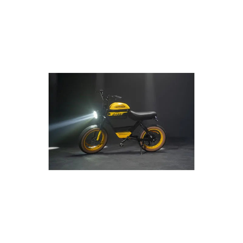 HAPPYRUN G100 Electric Bike Long Range All Terrain Motorcycle 1000W Motor Dual Battery 18Ah 20Ah