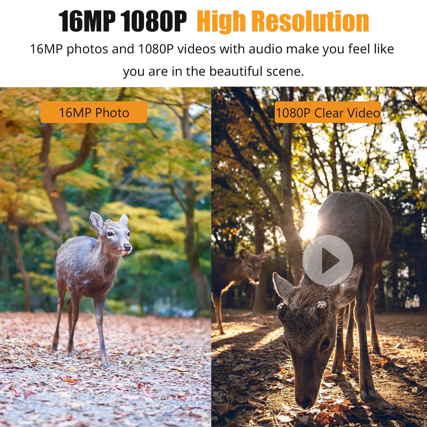 1080P Hunting Camera with 2.0 Inch LCD and 16MP Infrared Night Vision Waterproof Trail Camera