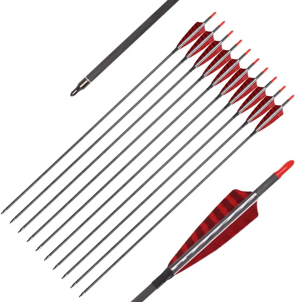 30 Inch Pure Carbon Arrows for Compound Bows 6 or 12 Pack Spine 600 700 with 100 Grain Screw Tips and 4 Inch Turkey Feathers