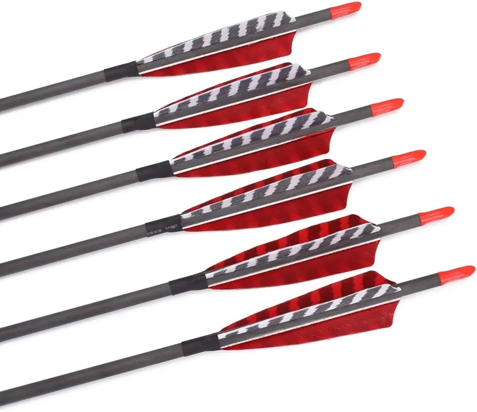 30 Inch Pure Carbon Arrows for Compound Bows 6 or 12 Pack Spine 600 700 with 100 Grain Screw Tips and 4 Inch Turkey Feathers