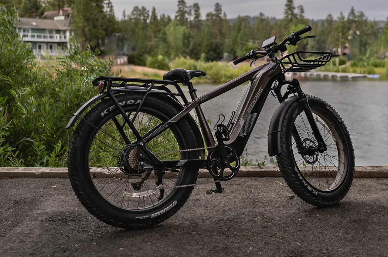Adult Electric Bicycle 26 Inch 52V 750W Motor 17AH High Quality Battery Mountain Bike with Front Shock Absorber